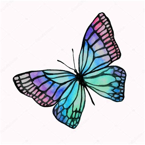 dibujos de mariposa-1